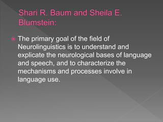 Neurolinguistics and brain types