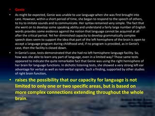 The critical period The apparent specialization of the left hemisphere for language is usually described in terms of lateral dominance or lateralization (one-sidedness). It is generally thought that the lateralization process begins in early childhood. It coincides with the period during which language acquisition takes place. During childhood, there is a period when the human brain is most ready to receive input and learn a particular language. This is known as the critical period.Though some think it may start earlier, the general view is that the critical period for first language acquisition lasts from birth until puberty. If a child does not acquire language during this period, for any one of a number of reasons, then he or she will find it almost impossible to learn language later on. In one unfortunate but well-documented case, we have gained some insight into what happens when the critical period passes without adequate linguistic input.