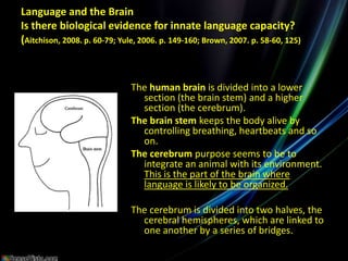 Language and the BrainIs there biological evidence for innate language capacity? (Aitchison, 2008. p. 60-79; Yule, 2006. p. 149-160; Brown, 2007. p. 58-60, 125)The human brain is divided into a lower section (the brain stem) and a higher section (the cerebrum). The brain stem keeps the body alive by controlling breathing, heartbeats and so on. The cerebrum purpose seems to be to integrate an animal with its environment. This is the part of the brain where language is likely to be organized. The cerebrum is divided into two halves, the cerebral hemispheres, which are linked to one another by a series of bridges. 