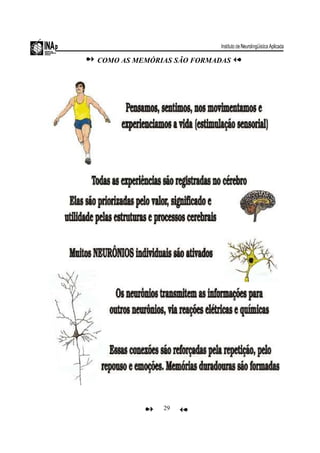 29
COMO AS MEMÓRIAS SÃO FORMADAS
 