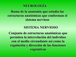 NEUROLOGÍA Rama de la anatomía que estudia las estructuras anatómicas que conforman el sistema nervioso SISTEMA NERVIOSO Conjunto de estructuras anatómicas que permiten la interrelación del individuo con el medio circundante así como la regulación y dirección de las funciones vegetativas 