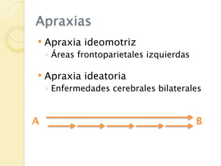 Apraxias
   Apraxia ideomotriz
    ◦ Áreas frontoparietales izquierdas

   Apraxia ideatoria
    ◦ Enfermedades cerebrales bilaterales


A                                         B
 