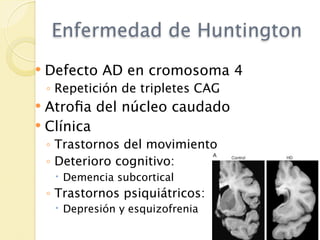 Enfermedad de Huntington
   Defecto AD en cromosoma 4
    ◦ Repetición de tripletes CAG
 Atroﬁa del núcleo caudado
 Clínica
    ◦ Trastornos del movimiento
    ◦ Deterioro cognitivo:
      Demencia subcortical
    ◦ Trastornos psiquiátricos:
      Depresión y esquizofrenia
 