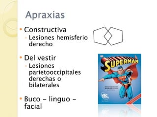 Apraxias
   Constructiva
    ◦ Lesiones hemisferio
      derecho

   Del vestir
    ◦ Lesiones
      parietooccipitales
      derechas o
      bilaterales

   Buco - linguo -
    facial
 