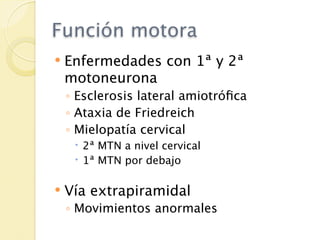 Función motora
   Enfermedades con 1ª y 2ª
    motoneurona
    ◦ Esclerosis lateral amiotróﬁca
    ◦ Ataxia de Friedreich
    ◦ Mielopatía cervical
      2ª MTN a nivel cervical
      1ª MTN por debajo

   Vía extrapiramidal
    ◦ Movimientos anormales
 