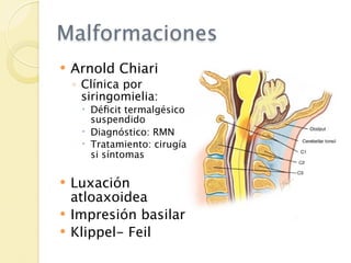 Malformaciones
   Arnold Chiari
    ◦ Clínica por
      siringomielia:
      Déﬁcit termalgésico
       suspendido
      Diagnóstico: RMN
      Tratamiento: cirugía
       si síntomas

   Luxación
    atloaxoidea
   Impresión basilar
   Klippel- Feil
 