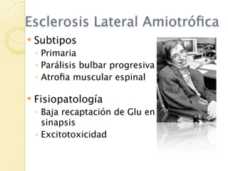 Esclerosis Lateral Amiotróﬁca
   Subtipos
    ◦ Primaria
    ◦ Parálisis bulbar progresiva
    ◦ Atroﬁa muscular espinal

   Fisiopatología
    ◦ Baja recaptación de Glu en
      sinapsis
    ◦ Excitotoxicidad
 