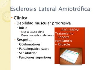 Esclerosis Lateral Amiotróﬁca
   Clínica:
    ◦ Debilidad muscular progresiva
      Inicio
          Musculatura distal
                                       ¡RECUERDA!
          Pares craneales inferiores
                                      Tratamiento:
                                   - Soporte
    ◦ Respeta:                     ventilatorio
        Oculomotores              - Riluzole
        Parasimpático sacro
        Sensibilidad
        Funciones superiores
 