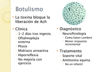 Botulismo
   La toxina bloque la
    liberación de Ach
   Clínica                      Diagnóstico
    ◦ 1-2 días tras ingesta       ◦ Neuroﬁsiología
    ◦ Oftalmoplejia                 Coma Eaton Lambert
      externa                       Menor respuesta
                                     incremental
    ◦ Ptosis
    ◦ Midriasis arreactiva       Tratamiento
    ◦ Hiporreﬂexia                ◦ Soporte vital
    ◦ No mejoría con              ◦ Antitoxina equina
      ejercicio                     No en infantil
 