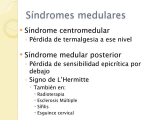 Síndromes medulares
   Síndrome centromedular
    ◦ Pérdida de termalgesia a ese nivel

   Síndrome medular posterior
    ◦ Pérdida de sensibilidad epicrítica por
      debajo
    ◦ Signo de L’Hermitte
      También en:
          Radioterapia
          Esclerosis Múltiple
          Síﬁlis
          Esguince cervical
 