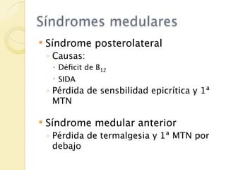 Síndromes medulares
   Síndrome posterolateral
    ◦ Causas:
      Déﬁcit de B12
      SIDA
    ◦ Pérdida de sensbilidad epicrítica y 1ª
      MTN

   Síndrome medular anterior
    ◦ Pérdida de termalgesia y 1ª MTN por
      debajo
 