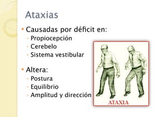 Ataxias
   Causadas por déﬁcit en:
    ◦ Propiocepción
    ◦ Cerebelo
    ◦ Sistema vestibular

   Altera:
    ◦ Postura
    ◦ Equilibrio
    ◦ Amplitud y dirección
 