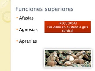 Funciones superiores
   Afasias
                      ¡RECUERDA!
               Por daño en sustancia gris
   Agnosias            cortical


   Apraxias
 