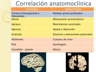 Correlación anatomoclínica
            Corticales               Subcorticales
Corteza frontoparietal e   Núcleos grises profundos
hipocampo
Afasia                     Alteraciones psicomotoras

Apraxia                    Movimientos anormales

Agnosia                    Apatía o depresión

Acalculia                  Disartria y alteraciones posturales

Alzheimer                  Cuerpos de Lewy

Pick                       Huntington

Creutfeld - Jackob         Wilson
 