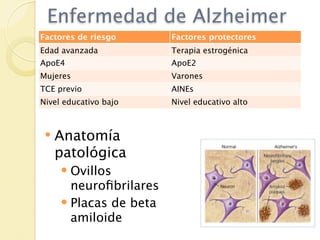 Enfermedad de Alzheimer
Factores de riesgo      Factores protectores
Edad avanzada           Terapia estrogénica
ApoE4                   ApoE2
Mujeres                 Varones
TCE previo              AINEs
Nivel educativo bajo    Nivel educativo alto



    Anatomía
     patológica
      Ovillos
       neuroﬁbrilares
      Placas de beta
       amiloide
 