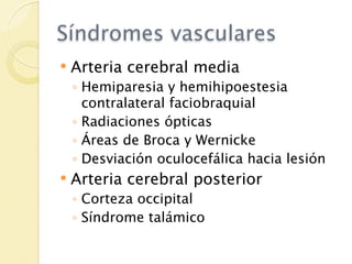 Síndromes vasculares
   Arteria cerebral media
    ◦ Hemiparesia y hemihipoestesia
      contralateral faciobraquial
    ◦ Radiaciones ópticas
    ◦ Áreas de Broca y Wernicke
    ◦ Desviación oculocefálica hacia lesión
   Arteria cerebral posterior
    ◦ Corteza occipital
    ◦ Síndrome talámico
 