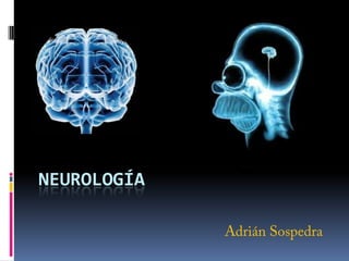 Neurología Adrián Sospedra 