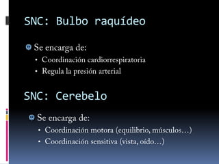 Mediante una Bomba de estos iones se combate el fenómeno físico de difusión y la membrana se mantiene polarizada +      +
