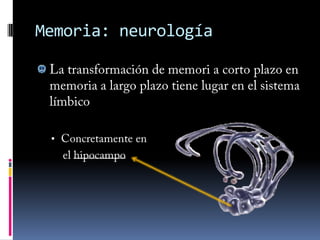 Bulbo raquídeoSNC: Bulbo raquídeoSe encarga de:Coordinación cardiorrespiratoria