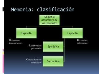 SNC: CerebroLóbulo frontalÁrea de asociación