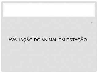 AVALIAÇÃO DO ANIMAL EM ESTAÇÃO 
13 
 