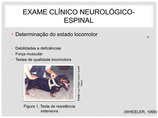 EXAME CLÍNICO NEUROLÓGICO-ESPINAL 
• Determinação do estado locomotor 
- Debilidades e deficiências 
- Força muscular 
- Testes de qualidade locomotora 
(WHEELER, 1999) 
Figura 1. Teste de resistência 
extensora 
Fonte: Luiz Felipe Castro Graeff 
Viana 
15 
 