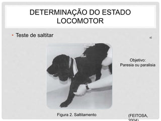 DETERMINAÇÃO DO ESTADO 
LOCOMOTOR 
• Teste de saltitar 
Figura 2. Saltitamento (FEITOSA, 
2004) 
16 
Objetivo: 
Paresia ou paralisia 
 