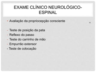 EXAME CLÍNICO NEUROLÓGICO-ESPINAL 
• Avaliação da propriocepção consciente 
- Teste de posição da pata 
- Reflexo do passo 
- Teste do carrinho de mão 
- Empurrão extensor 
- Teste de colocação 
19 
 