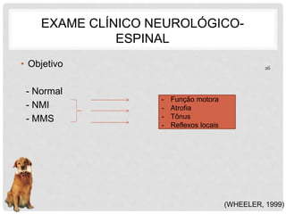 EXAME CLÍNICO NEUROLÓGICO-ESPINAL 
• Objetivo 
- Normal 
- NMI 
- MMS 
(WHEELER, 1999) 
- Função motora 
- Atrofia 
- Tônus 
- Reflexos locais 
26 
 