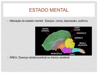 ESTADO MENTAL 
• Alteração do estado mental: Estupor, coma, depressão, eufórico 
• ÁREA: Doença cérebrocortical ou tronco cerebral 
 
