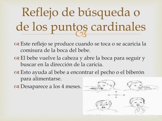 
 Este reflejo se produce cuando se toca o se acaricia la
comisura de la boca del bebe.
 El bebe vuelve la cabeza y abre la boca para seguir y
buscar en la dirección de la caricia.
 Esto ayuda al bebe a encontrar el pecho o el biberón
para alimentarse.
 Desaparece a los 4 meses.
Reflejo de búsqueda o
de los puntos cardinales
 