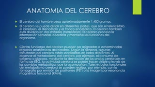 ANATOMIA DEL CEREBRO
 El cerebro del hombre pesa aproximadamente 1.400 gramos.
 El cerebro se puede dividir en diferentes partes, que son el telencéfalo,
el cerebelo, el diencéfalo y el tronco encefálico. El cerebro también
está dividido en dos mitades (hemisferios) El cerebro procesa la
información sensorial, coordina y mantiene las funciones del
organismo.
 Ciertas funciones del cerebro pueden ser asignadas a determinadas
regiones anatómicas del cerebro. Según la persona, algunas
facultades del cerebro están localizadas en lados diferentes. Al
observar el metabolismo del cerebro, por ejemplo, el consumo de
oxígeno o glucosa, mediante la desviación de las ondas cerebrales en
forma de EEG, la actividad cerebral se puede hacer visible a través de
los cambios metabólicos que la acompañan. Tales estudios funcionales
del metabolismo cerebral se pueden realizar, por ejemplo, con la
tomografía por emisión de positrones (PET) o la imagen por resonancia
magnética funcional (RMN).
 