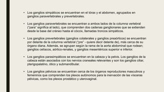 • Los ganglios simpáticos se encuentran en el tórax y el abdomen, agrupados en
ganglios paravertebrales y prevertebrales.
• Los ganglios paravertebrales se encuentran a ambos lados de la columna vertebral
(“para” significa al lado), que comprenden dos cadenas ganglionares que se extienden
desde la base del cráneo hasta el cóccix, llamadas troncos simpáticos.
• Los ganglios prevertebrales (ganglios colaterales y ganglios preaórticos) se encuentran
por delante de la columna vertebral (“pre” - quiere decir delante de), más cerca de su
órgano diana. Además, se agrupan según la rama de la aorta abdominal que rodean;
ganglios celíacos, aórtico-renales, y ganglios mesentéricos superior e inferior.
• Los ganglios parasimpáticos se encuentran en la cabeza y la pelvis. Los ganglios de la
cabeza están asociados con los nervios craneales relevantes y son los ganglios ciliar,
pterigopalatino, ótico y submandibular.
• Los ganglios pélvicos se encuentran cerca de los órganos reproductores masculinos y
femeninos que comprenden los plexos autónomos para la inervación de las vísceras
pélvicas, como los plexos prostático y uterovaginal.
 