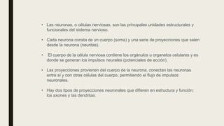 • Las neuronas, o células nerviosas, son las principales unidades estructurales y
funcionales del sistema nervioso.
• Cada neurona consta de un cuerpo (soma) y una serie de proyecciones que salen
desde la neurona (neuritas).
• El cuerpo de la célula nerviosa contiene los orgánulos u organelos celulares y es
donde se generan los impulsos neurales (potenciales de acción).
• Las proyecciones provienen del cuerpo de la neurona, conectan las neuronas
entre sí y con otras células del cuerpo, permitiendo el flujo de impulsos
neuronales.
• Hay dos tipos de proyecciones neuronales que difieren en estructura y función;
los axones y las dendritas.
 