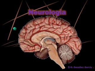Neurologia Erik González García . 