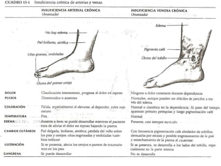 Examen muscular D12-L3

– Cuadriceps (l2,l3,l4) nervio
  femoral.
– Paciente en cuclillas e
  incorporación, valorar “atra...