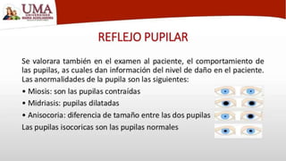 NEUROLOGIA SEMIOLOGICA-  COMA.pptx