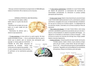 Equivaler NEUROLOGÍA SUB 2 ayudaaaaaaaaaaaaaaaaaaaa | PDF