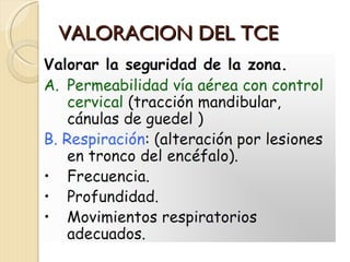 VALORACION DEL TCE 