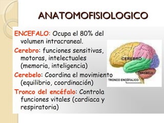 ANATOMOFISIOLOGICO 