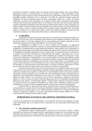 por divisiones acelulares. A grandes rasgos, las neuronas son de dos tipos; algunas, más o menos esféricas
(granulares) cuentan con prolongaciones de extensión muy limitada, y otras (piramidales) tienen
prolongaciones que incursionan a mayor distancia dentro de la sustancia blanca subyacente. Las neuronas
piramidales pueden clasificarse por sus conexiones. Las fibras de asociación conectan partes del
neopallium del mismo hemisferio después de pasar directamente debajo de la corteza. Las fibras
comisurales conectan los dos hemisferios, por lo general uniendo partes contralaterales equivalentes.
Transitan sobre el techo del ventrículo lateral y en su mayoría cruzan dentro del cuerpo calloso, principal
comisura telencefálica moldeada de modo que forma una rodilla (genu) rostral, un tronco intermedio y un
esplenio caudal. Las fibras de proyección que descienden de la corteza conectan con partes inferiores del
sistema nervioso central; la mayoría converge sobre la cápsula interna, aprisionada entre los núcleos
basales y el tálamo. En su trayecto hacia, desde y dentro de la cápsula las fibras de proyección están
ordenadas de acuerdo con sus asociaciones funcionales y sus relaciones somatotópicas.

    •    Archipallium
          Antiguamente esta parte de la corteza intervenía en la correlación de la información olfatoria con
la sensorial de otros tipos, pero ha adquirido nuevas funciones en los mamíferos modernos. Forma parte
del sistema límbico, el cual está compuesto por las circunvoluciones del cíngulo, supracallosa y de la
rodilla (gyrus geniculi), la formación hopocápnica y la circunvolución dentada.
          El archipallium ha dejado de ser un rasgo conspicuo del telencéfalo. La importancia
relativamente reducida del sentido de la olfacción y el enorme desarrollo del neopallium han hecho que el
archipallium se desplazase hacia la pared medial del hemisferio; reduce todavía más su prominencia el
hecho de que una gran parte está arrollada hacia adentro para situarse sobre el piso del ventrículo lateral.
El archipallium es dividido topográficamente por el cuerpo calloso en una parte dorsal que se mantiene en
la superficie del hemisferio (formando las circunvoluciones del cíngulo y supracallosa entre el surco
esplenial y el cuerpo calloso) y en una parte ventral constituida por la porción encorvada que se suele
conocer como hipocampo. El archipallium es curvo de conformidad con la forma que adopta la vesícula
telencefálica en expansión y concuerda don las caras dorsal, caudal y ventral del tálamo. Esta disposición
es útil para postular que el archipallium está conectado entre el bulbo olfativo y el hipotálamo. Como
conserva estas conexiones, la vía se ha doblado en un asa a modo de broche para cabello por la expansión
del hemisferio; la rama proximal de concavidad ventral, se extiende en dirección caudal hacia el vértice
del asa, donde una torsión en espiral coloca la rama distal en un curso de retorno paralelo.
          La rama proximal está provista por las circunvoluciones de la superficie debajo de las cuales
corren las fibras de asociación longitudinales procedentes del área septal (donde termina el tracto olfativo
medial) que constituyen el cingulum. Las fibras de esta vía multisináptica entran en el extremo caudal del
hipocampo y forman la cubierta de éste. Las fibras que salen del hipocampo corren rostralmente sobre la
superficie de éste condensándose gradualmente en un grueso haz, el fórnix. El fórnix está directamente
debajo del cuerpo calloso o en su comienzo, pero se desvía ventralmente a medida que corre hacia
delante; se incurva en torno del extremo rostral del tálamo para entrar en el hipotálamo, donde termina
dentro del cuerpo mamilar. Los hipocampos derecho e izquierdo están unidos por la comisura del fórnix
de modo que existen tres comisuras telencefálicas; el cuerpo calloso neopallial, la comisura anterior
paleopallial y la comisura del fórnix archipalleal (también conocida como comisura del hipocampo).
          Cuando el fórnix se separa del cuerpo calloso, queda conectado con él por un fino tabique que se
profundiza hacia su extremo rostral. Este tabique telencefálico (septum pellucidum) forma parte de la
pared medial del ventrículo lateral. Es una estructura bilateral separada de su vecina por una hendidura
estrecha y rodeada por completo y en su parte ventrorrostral contiene núcleos septales en los cuales
terminan fibras provenientes del tracto olfativo medial.

        MORFOLOGÍA FUNCIONAL DEL SISTEMA NERVIOSO CENTRAL
A pesar de las pretensiones del encabezamiento, en este apartado sólo hemos de ocuparnos de ciertos
temas fundamentales que, en su mayoría, sólo se relacionan con vías estructuradas relativamente bien
delimitadas.

    •    Vías aferentes somáticas generales
         La designación “aferente somática general” rige para las vías de tractos de fibras y núcleos
intercalados que transmiten información desde la amplia gama de receptores de diversos tipos que están
diseminados por toda la piel y tejidos somáticos más profundos. Excluye las vías aferentes somáticas
especiales procedentes del ojo y oído interno y por supuesto, las que vienen de los receptores viscerales.
 