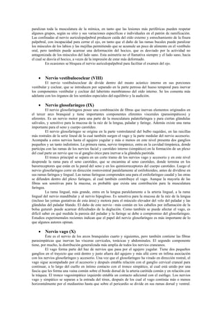 paralizan toda la musculatura de la mímica, en tanto que las lesiones más periféricas pueden respetar
algunos grupos, según su sitio y sus variaciones específicas e individuales en el patrón de ramificación.
Las confinadas al nervio auriculopalpebral producen caída del oído externo y estrechamiento de la fisura
palpebral, con incapacidad para cerrar el ojo, en tanto que el daño de las ramas bucales puede paralizar
los músculos de los labios y las mejillas permitiendo que se acumule un poco de alimento en el vestíbulo
oral, pero también puede acarrear una deformación del hocico, que es desviado por la actividad no
antagonizada de los músculos del lado sano. Esta asimetría no el llamativa siempre y el lado sano, hacia
el cual se desvía el hocico, a veces de la impresión de estar más deformado.
          En ocasiones se bloquea el nervio auriculopalpebral para facilitar el examen del ojo.


    •    Nervio vestibulococlear (VIII)
         El nervio vestibulococlear de divide dentro del meato acústico interno en sus porciones
vestibular y coclear, que se introducen por separado en la parte petrosa del hueso temporal para inervar
los componentes vestibular y coclear del laberinto membranoso del oído interno. Se los comenta más
adelante con los órganos de los sentidos especiales del equilibrio y la audición.

    •    Nervio glosofaríngeo (IX)
          El nervio glosofaríngeos posee una combinación de fibras que inervan elementos originados en
el tercer arco branquial y tiene importantes componentes eferentes viscerales (parasimpáticos) y
aferentes. Es un nervio motor para una parte de la musculatura palatofaríngea y para ciertas glándulas
salivales, y sensitivo para la mucosa de la raíz de la lengua, paladar y faringe. Además existe una rama
importante para el seno y cuerpo carotídeo.
          El nervio glosofaríngeo se origina en la parte ventrolateral del bulbo raquídeo, en las raicillas
más rostrales de la serie lineal de la cual también surgen el vago y la parte medular del nervio accesorio.
Acompaña a estos nervios hasta el agujero yugular y más o menos en este nivel presenta dos ganglios
pequeños y un tanto indistintos. La primera rama, nervio timpánico, entra en la cavidad timpánica, donde
participa con las ramas de los nervios facial y carotídeo interno (simpático) en la formación de un plexo
del cual parte un nervio que va al ganglio ótico para inervar a la glándula parótida.
          El tronco principal se separa en un corto tramo de los nervios vago y accesorio y en este nivel
desprende la rama para el seno carotídeo, que se encamina al seno carotídeo, donde termina en los
barorreceptores que están en la pared del seno y en los quimiorreceptores del cuerpo carotídeo. Luego el
nervio glosofaríngeo corre en dirección rostroventral paralelamente al estilohioideo, antes de dividirse en
sus ramas faríngea y lingual. Las ramas faríngeas comprenden una para el estilofaríngeo caudal y las otras
se difunden dentro del plexo faríngeo, al cual también contribuye el vago. Aunque la mayoría de las
fibras son sensitivas para la mucosa, es probable que exista una contribución para la musculatura
faríngea.
          La rama lingual, más grande, entra en la lengua paralelamente a la arteria lingual, a la rama
lingual del nervio mandibular y al nervio hipogloso. Es sensitiva para la mucosa de la raíz de la lengua
(incluso las yemas gustativas de esta área) y motora para el músculo elevador del velo del paladar y las
glándulas del paladar blando. El daño de este nervio –más común en los caballos por inflamación de la
bolsa gutural- puede acarrear dificultades de la deglución. Como también se puede afectar el vago, es
difícil saber en qué medida la paresia del paladar y la faringe se debe a compromiso del glosofaríngeo.
Estudios experimentales recientes indican que el papel del nervio glosofaríngeo es más importante de lo
que algunos autores opinan.

    •    Nervio vago (X)
         Éste es el nervio de los arcos branquiales cuarto y siguientes, pero también contiene las fibras
parasimpáticas que inervan las vísceras cervicales, torácicas y abdominales. El segundo componente
tiene, por mucho, la distribución generalizada más amplia de todos los nervios craneanos.
         El vago forma parte del haz de nervios que pasa por el agujero yugular. Tiene dos pequeños
ganglios en el trayecto que está dentro y justo afuera del agujero y más allá corre en ínfima asociación
con los nervios glosofaríngeo y accesorio. Una vez que el glosofaríngeo ha virado en dirección rostral, el
vago sigue acompañado por el accesorio y después entabla relación con el ganglio cervical craneal para
continuar, a lo largo del cuello en íntimo contacto con el tronco simpático, al cual está unido por una
fascia que les forma una vaina común sobre el borde dorsal de la arteria carótida común y en relación con
la tráquea. El tronco vagosimpático izquierdo entabla un contacto adicional con el esófago. Los nervios
vago y simpático se separan a la entrada del tórax, después de los cual el vago continúa más o menos
horizontalmente por el mediastino hasta que sobre el pericardio se divide en sus ramas dorsal y ventral.
 