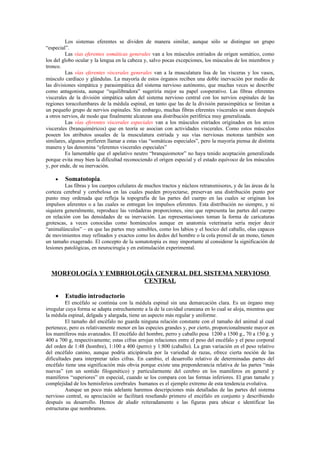 Los sistemas eferentes se dividen de manera similar, aunque sólo se distingue un grupo
“especial”.
         Las vías eferentes somáticas generales van a los músculos estriados de origen somático, como
los del globo ocular y la lengua en la cabeza y, salvo pocas excepciones, los músculos de los miembros y
tronco.
         Las vías eferentes viscerales generales van a la musculatura lisa de las vísceras y los vasos,
músculo cardíaco y glándulas. La mayoría de estos órganos reciben una doble inervación por medio de
las divisiones simpática y parasimpática del sistema nervioso autónomo, que muchas veces se describe
como antagonista, aunque “equilibradora” sugeriría mejor su papel cooperativo. Las fibras eferentes
viscerales de la división simpática salen del sistema nervioso central con los nervios espinales de las
regiones toracolumbares de la médula espinal, en tanto que las de la división parasimpática se limitan a
un pequeño grupo de nervios espinales. Sin embargo, muchas fibras eferentes viscerales se unen después
a otros nervios, de modo que finalmente alcanzan una distribución periférica muy generalizada.
         Las vías eferentes viscerales especiales van a los músculos estriados originados en los arcos
viscerales (branquiméricos) que en teoría se asocian con actividades viscerales. Como estos músculos
poseen los atributos usuales de la musculatura estriada y sus vías nerviosas motoras también son
similares, algunos prefieren llamar a estas vías “somáticas especiales”, pero la mayoría piensa de distinta
manera y las denomina “eferentes viscerales especiales”
         Es lamentable que el apelativo neutro “branquiomotor” no haya tenido aceptación generalizada
porque evita muy bien la dificultad reconociendo el origen especial y el estado equívoco de los músculos
y, por ende, de su inervación.

    •    Somatotopia.
         Las fibras y los cuerpos celulares de muchos tractos y núcleos retransmisores, y de las áreas de la
corteza cerebral y cerebelosa en las cuales pueden proyectarse, preservan una distribución punto por
punto muy ordenada que refleja la topografía de las partes del cuerpo en las cuales se originan los
impulsos aferentes o a las cuales se entregan los impulsos eferentes. Esta distribución no siempre, y ni
siquiera generalmente, reproduce las verdaderas proporciones, sino que representa las partes del cuerpo
en relación con las densidades de su inervación. Las representaciones toman la forma de caricaturas
grotescas, a veces conocidas como homúnculos aunque en anatomía veterinaria sería mejor decir
“animalúnculos” – en que las partes muy sensibles, como los labios y el hocico del caballo, olas capaces
de movimientos muy refinados y exactos como los dedos del hombre o la cola prensil de un mono, tienen
un tamaño exagerado. El concepto de la somatotopia es muy importante al considerar la significación de
lesiones patológicas, en neurocirugía y en estimulación experimental.



  MORFOLOGÍA Y EMBRIOLOGÍA GENERAL DEL SISTEMA NERVIOSO
                        CENTRAL

    •    Estudio introductorio
         El encéfalo se continúa con la médula espinal sin una demarcación clara. Es un órgano muy
irregular cuya forma se adapta estrechamente a la de la cavidad craneana en lo cual se aloja, mientras que
la médula espinal, delgada y alargada, tiene un aspecto más regular y uniforme.
         El tamaño del encéfalo no guarda ninguna relación constante con el tamaño del animal al cual
pertenece, pero es relativamente menor en las especies grandes y, por cierto, proporcionalmente mayor en
los mamíferos más avanzados. El encéfalo del hombre, perro y caballo pesa 1200 a 1500 g., 70 a 150 g. y
400 a 700 g, respectivamente; estas cifras arrojan relaciones entre el peso del encéfalo y el peso corporal
del orden de 1:48 (hombre), 1:100 a 400 (perro) y 1:800 (caballo). La gran variación en el peso relativo
del encéfalo canino, aunque podría aticipársela por la variedad de razas, ofrece cierta noción de las
dificultades para interpretar tales cifras. En cambio, el desarrollo relativo de determinadas partes del
encéfalo tiene una significación más obvia porque existe una preponderancia relativa de las partes “más
nuevas” (en un sentido filogenético) y particularmente del cerebro en los mamíferos en general y
mamíferos “superiores” en especial, cuando se los compara con las formas inferiores. El gran tamaño y
complejidad de los hemisferios cerebrales humanos es el ejemplo extremo de esta tendencia evolutiva.
         Aunque un poco más adelante haremos descripciones más detalladas de las partes del sistema
nervioso central, su apreciación se facilitará reseñando primero el encéfalo en conjunto y describiendo
después su desarrollo. Hemos de aludir reiteradamente e las figuras para ubicar e identificar las
estructuras que nombramos.
 