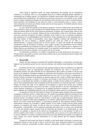 Vistos desde la superficie dorsal, los rasgos descollantes del encéfalo son los hemisferios
cerebrales y el cerebelo; sólo se ve una pequeñez parte de la médula oblongada (bulbo raquídeo) en
continuidad con la médula espinal. Los hemisferios cerebrales semiovoides están divididos entre sí por
una profunda fisura longitudinal y del cerebelo por una fisura transversal; en el encéfalo in situ, ambas
fisuras se hallan ocupadas por pliegues de una membrana dural resistente que reviste la cavidad craneana,
Cada hemisferio está moldeado en una trama de crestas o circunvoluciones (gyri) y cisuras o surcos
(sulci) dispuestas de manera que difieren mucho entre las diversas especies. El cerebelo presenta marcas
superficiales más pronunciadas aún.
          La cara ventral del encéfalo es más plana en general y revela las subdivisiones del encéfalo con
mayor claridad. La parte caudal está dada por la médula oblonga, que se expande al seguirlo hacia delante
hasta que termina detrás de una cresta transversa prominente, el puente, que se puede seguir sobre la cara
lateral hasta su unión con el cerebelo. Delante de éste el mesencéfalo, oculto en la vista dorsal. Aparece
como dos columnas divergentes, los pilares cerebrales (crura cerebri) y, que se continúan rostralmente
para desaparecer en las profundidades de los hemisferios. Están separados por la fosa interpeduncular y
más hacia delante se halla el prosencéfalo, cuyos rasgos medianos ventrales más destacados son el
hipotálamo (al cual la hipófisis o glándula pituitaria está unida por medio de un tallo) y el
entrecruzamiento o quiasma formado por los nervios ópticos. La parte más grande del prosencéfalo
corresponde al par de hemisferios cerebrales, cuyos rasgos ventrales más prominentes son los lóbulos
piriformes redondeados que flanquean los pilares cerebrales y los tractos olfativos que se originan en los
bulbos olfativos que sobresalen en el extremo rostral. En la superficie ventral también se ven los orígenes
superficiales de los nervios craneales, con excepción del nervio troclear.
          Los hemisferios cerebrales y el cerebelo se desarrollan en el lado dorsal de las otras partes y al
retirarlos todo lo que queda se conoce como tronco cerebral, que es una continuación directa, aunque muy
modificada de la médula espinal.

    •    Desarrollo
         Siendo más fácil entender la anatomía del encéfalo refiriéndola a su desarrollo, convendrá que
hagamos una descripción general de esto antes de continuar; más adelante mencionaremos otros detalles
más.
         El sistema nervioso hace su aparición muy temprano porque se pone en evidencia en la etapa del
disco embrionario como un engrosamiento alargado del ectodermo que cubre la notocorda y el
mesodermo paraaxil. Las partes laterales de este engrosamiento, placa neural, no tardan en elevarse por
encima de la superficie circundante mediante el crecimiento del mesodermo subyacente, para formar en
ambos lados los pliegues neurales que descienden hacia un surco axil, el surco neural. A medida que el
proceso continúa, los bordes de los pliegues se destacan cada vez más y luego se doblan hacia adentro, el
uno hacia el otro, hasta que se reúnen y se fusionan, convirtiendo el surco neural en un tubo neural. Este
tubo, que es el primordio del encéfalo y la médula espinal, se hunde entonces debajo de la superficie, la
cual se cierra simultáneamente sobre él mediante fusión del ectodermo no neural de cada lado. Al mismo
tiempo, las células que están en los márgenes de los pliegues se separan para formar unos cordones
continuos, las crestas neurales, que corren casi todo a lo largo del tubo en sus caras dorsolaterales. Las
crestas neurales contribuyen a la formación de los ganglios periféricos somáticos y autónomos, de las
partes medulares de las glándulas adrenales y de una variedad de tejidos conectivos craneofaciales.
         Al principio el cierre del tubo neural se limita a la presunta región occipital, pero poco después
se propaga en dirección rostral y caudal hasta que sólo quedan dos pequeñas aberturas (neuroporos) que
comunican la luz del tubo con la cavidad amniótica en la superficie del embrión. Estas aberturas no
persisten mucho; el neuroporo rostral se cierra primero, en tanto que el caudal permanece abierto uno o
dos días más, mientras el tubo sigue elongándose en su extremo caudal mediante extensión y plegamiento
ulterior de la placa neural hacia adentro. La persistencia anómala de estas aberturas produce defectos
relativamente comunes en el encéfalo y médula espinal. En los cuales el tejido nervioso puede quedar
expuesto a la superficie del cuerpo. La falta de cierre en el extremo rostral produce malformación del
prosencéfalo y mesencéfalo, con las respectivas anomalías del cráneo; esto se conoce como anencefalia
y, si bien este término sugiere ausencia total del desarrollo del encéfalo su severidad puede ser muy
variable; sin embargo, la mayoría de las formas son incompatibles con la vida posnatal. La falla en el
extremo caudal es más común y se conoce como espina bífida, que se asocia con un cierre defectuoso de
los arcos vertebrales. Los niños y animales jóvenes que tienen esta malformación pueden vivir después de
nacer, aunque con severos trastornos funcionales; no se suele permitir que los animales afectados
sobrevivan.
         La parte del tubo neural que forma el encéfalo es más ancha desde el principio y presenta unas
expansiones locales ya antes de que el tubo se cierre del todo. Estas expansiones definen tres vesículas
encefálicas primarias: prosencéfalo (cerebro anterior), mesencéfalo (cerebro medio) y rombencéfalo
 