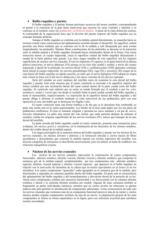 •    Bulbo raquídeo y puente.
          El bulbo raquídeo y el puente forman porciones sucesivas del tronco cerebral, correspondiendo
el puente a la extensión de la gran barra transversal que encierra las caras ventrales y laterales y se
continúa en el cerebelo como los pedúnculos cerebelosos medios. A pesar de la clara distinción externa,
la continuidad de la organización hace que la división del puente respecto del bulbo raquídeo sea un
concepto bastante artificial.
          Aunque el bulbo raquídeo se continúa con la médula espinal directamente, se ensancha hacia su
extremo rostral como consecuencia del aplanamiento ocurrido durante el desarrollo. Su superficie ventral
presenta una fisura mediana que se continúa con la de la médula y está flanqueada por unas crestas
longitudinales, las pirámides. Muchas fibras constituyentes de las pirámides se decusan en la transición
entre la médula espinal y el bulbo raquídeo formando haces entrelazados dentro de la fisura. Una cresta
transversa menor, el cuerpo trapezoide, cruza la superficie ventral del bulbo raquídeo directamente a
caudal de la barra póntica más grande. Los otros rasgos notables de esta superficie son los orígenes
superficiales de muchos nervios craneales. El nervio trigémino (V) aparece en la parte lateral de la lámina
póntica transversa; el nervio abducens (VI) emerge en un sitio más caudal y medial, a través del cuerpo
trapezoide a lateral de la pirámide; los nervios facial (VII) y vestibulococlear (VIII) aparentan continuar
hacia lateral al cuerpo trapezoide; los nervios glosofaríngeo (IX), vago (X) y accesorio (XI) surgen de la
cara lateral del bulbo raquídeo en rápida sucesión, en tanto que el nervio hipogloso (XII) adopta un origen
más ventral en línea con el del nervio abduccens y las raíces ventrales de los nervios espinales.
          Sería útil estudiar un corte mediano del encéfalo antes de examinar la cara dorsal del bulbo
raquídeo y puente. Este corte muestra que el cuarto ventrículo es acercado a la superficie superior del
tronco cerebral por una inclinación dorsal del canal central dentro de la parte caudal corta del bulbo
raquídeo. El ventrículo está cubierto por un techo en tienda formado por el cerebelo y por los velos
medulares caudal y rostral que van desde el cerebelo hasta la parte caudal cerrada del bulbo raquídeo y
hasta el mesencéfalo, respectivamente. La exposición de la superficie dorsal del bulbo raquídeo y del
puente obliga a eliminar el cerebelo mediante el corte transversal de sus pedúnculos, pero con esta
operación es case inevitable que se destruyan los frágiles velos.
          El cuarto ventrículo tiene una forma rómbica y de ahí que se lo denomine fosa romboidal; su
parte más ancha está en la unión pontomedular. Los bordes de la fosa están dados por los tres pares de
pedúnculos cerebelosos. El piso es bastante irregular y presenta un surco mediano y un par de surcos
laterales (limitantes). La parte más rostral del velo rostral, que suele persistir después de eliminar el
cerebelo, exhibe los orígenes superficiales de los nervios trocleares (IV), únicos que emergen de la cara
dorsal del encéfalo.
          La parte cerrada del bulbo raquídeo caudal al cuarto ventrículo, presenta unas eminencias poco
evidentes, los núcleos grácil y cuneiforme, en la terminación de los fascículos de los mismos nombres,
dentro del cordón dorsal de la médula espinal.
          Los rasgos principales de la anatomía interna del bulbo raquídeo y puente son los núcleos de los
nervios craneales, los núcleos olivares y pónticos y la formación reticular y ciertos tractos de fibras
ascendentes y descendentes que conectan la médula espinal con niveles superiores del encéfalo. Las
diversas categorías de estructuras se describirán sucesivamente, pero sin énfasis en tratar de establecer sus
relaciones topográficas exactas.

    •    Núcleos de los nervios craneales
         Los núcleos de los nervios craneales representan la continuación de cuatro componentes
funcionales –aferente somático, aferente visceral, eferente visceral y eferente somático- que componen la
sustancia gris de la médula espinal, complementados por tres componentes más –aferente somático
especial, aferente visceral especial y eferente visceral especial- que aparecen en el bulbo raquídeo en
relación con la inervación de elementos de la cabeza que no tienen equivalentes en el tronco ni en los
miembros. Los cuatro componentes “generales” están agrupados en la sustancia gris de la médula, pero
diseminados y separados en columnas paralelas dentro del bulbo raquídeo. En parte esto es consecuencia
del aplanamiento del bulbo raquídeo y del ensanchamiento y desviación dorsal de la posición de su luz.
Ahora estos componentes exhiben una secuencia latermodial y no dorsoventral con la columna eferente
somática a lateral y la columna eferente somática por medial. Algunas de estas columnas también se
fragmentan en partes individuales (núcleos), mientras que en ciertos niveles las relaciones se ajustan
todavía más para permitir la introducción de componentes adicionales. Como consecuencia de todo esto
los nervios craneales que contienen más de un componente funcional nacen en más de un núcleo y ciertos
núcleos pueden originar componentes similares de más de un nervio. La disposición general de los siete
componentes se ilustra en forma esquemática en la figura, pero con suficiente exactitud para satisfacer
muchas necesidades.
 