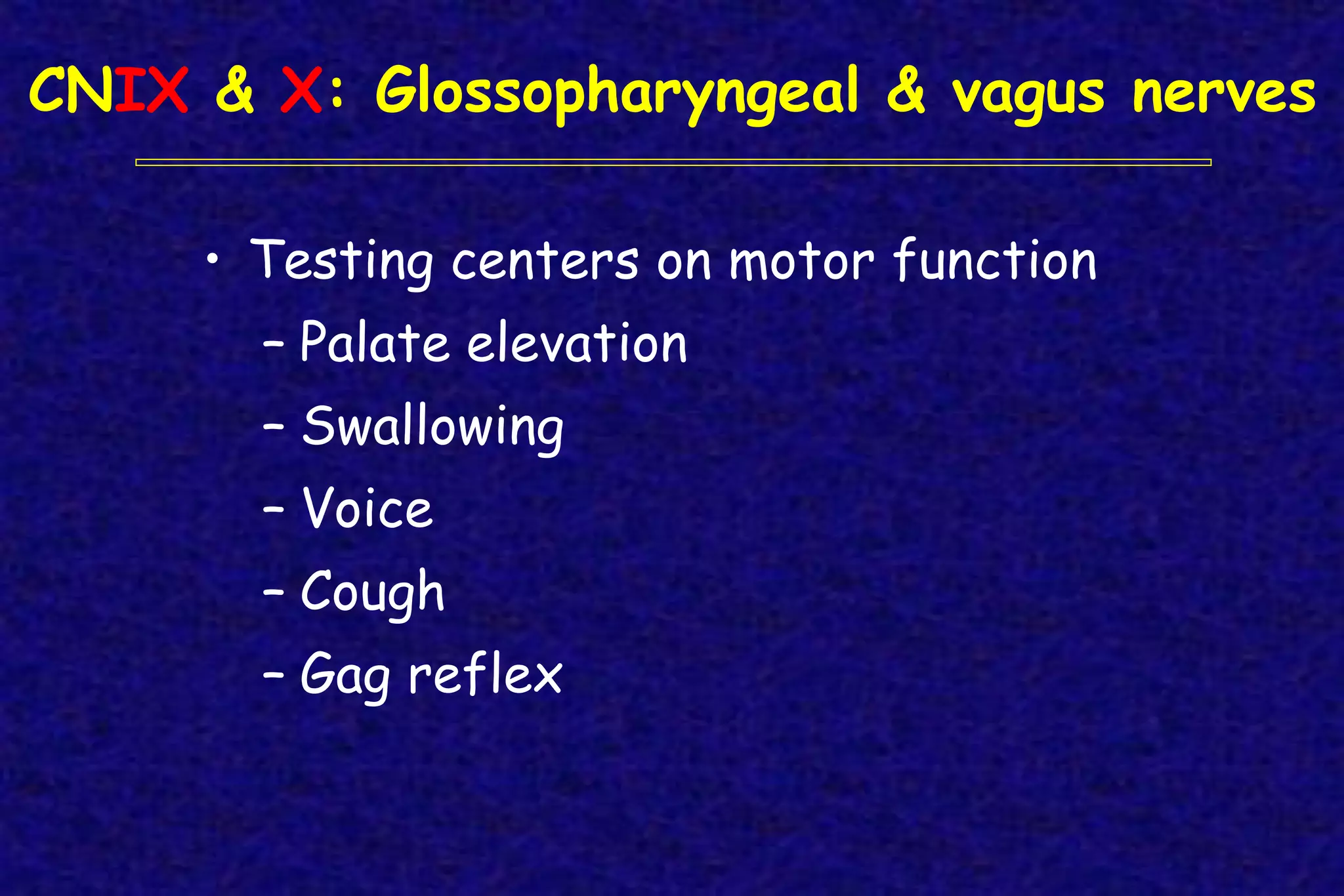 CNIX & X: Glossopharyngeal & vagus nerves
• Testing centers on motor function
– Palate elevation
– Swallowing
– Voice
– Cough
– Gag reflex
 