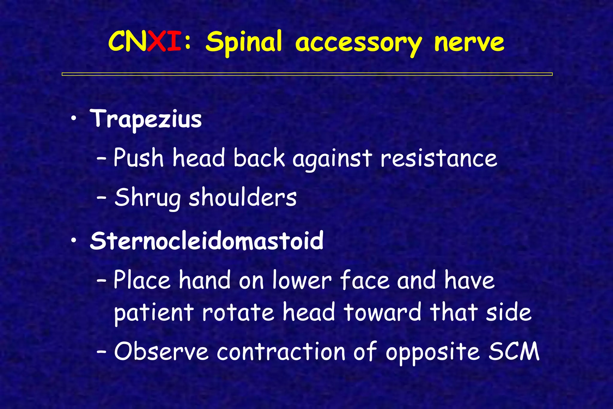 CNXI: Spinal accessory nerve
• Trapezius
– Push head back against resistance
– Shrug shoulders
• Sternocleidomastoid
– Place hand on lower face and have
patient rotate head toward that side
– Observe contraction of opposite SCM
 