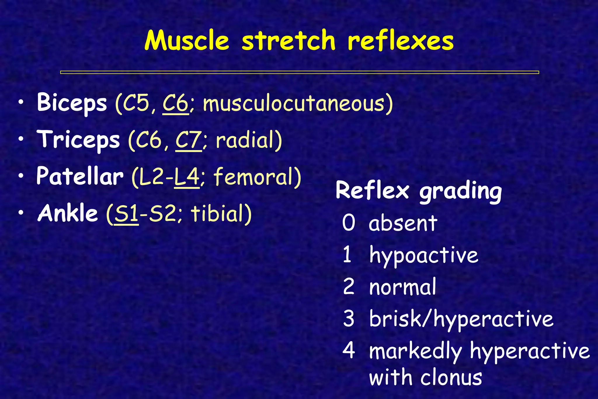 Muscle stretch reflexes
• Biceps (C5, C6; musculocutaneous)
• Triceps (C6, C7; radial)
• Patellar (L2-L4; femoral)
• Ankle (S1-S2; tibial)
Reflex grading
0 absent
1 hypoactive
2 normal
3 brisk/hyperactive
4 markedly hyperactive
with clonus
 