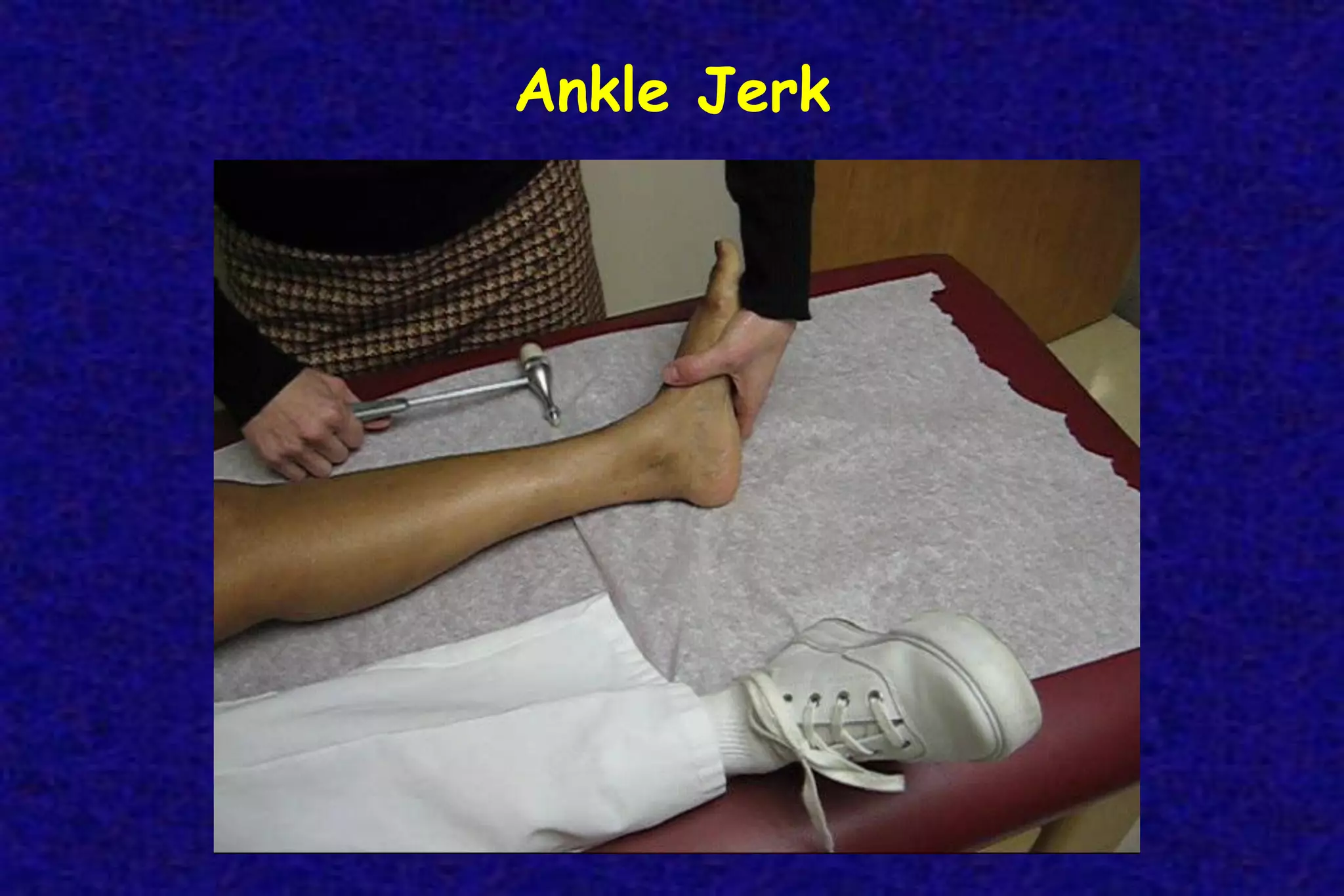 Ankle Jerk
 