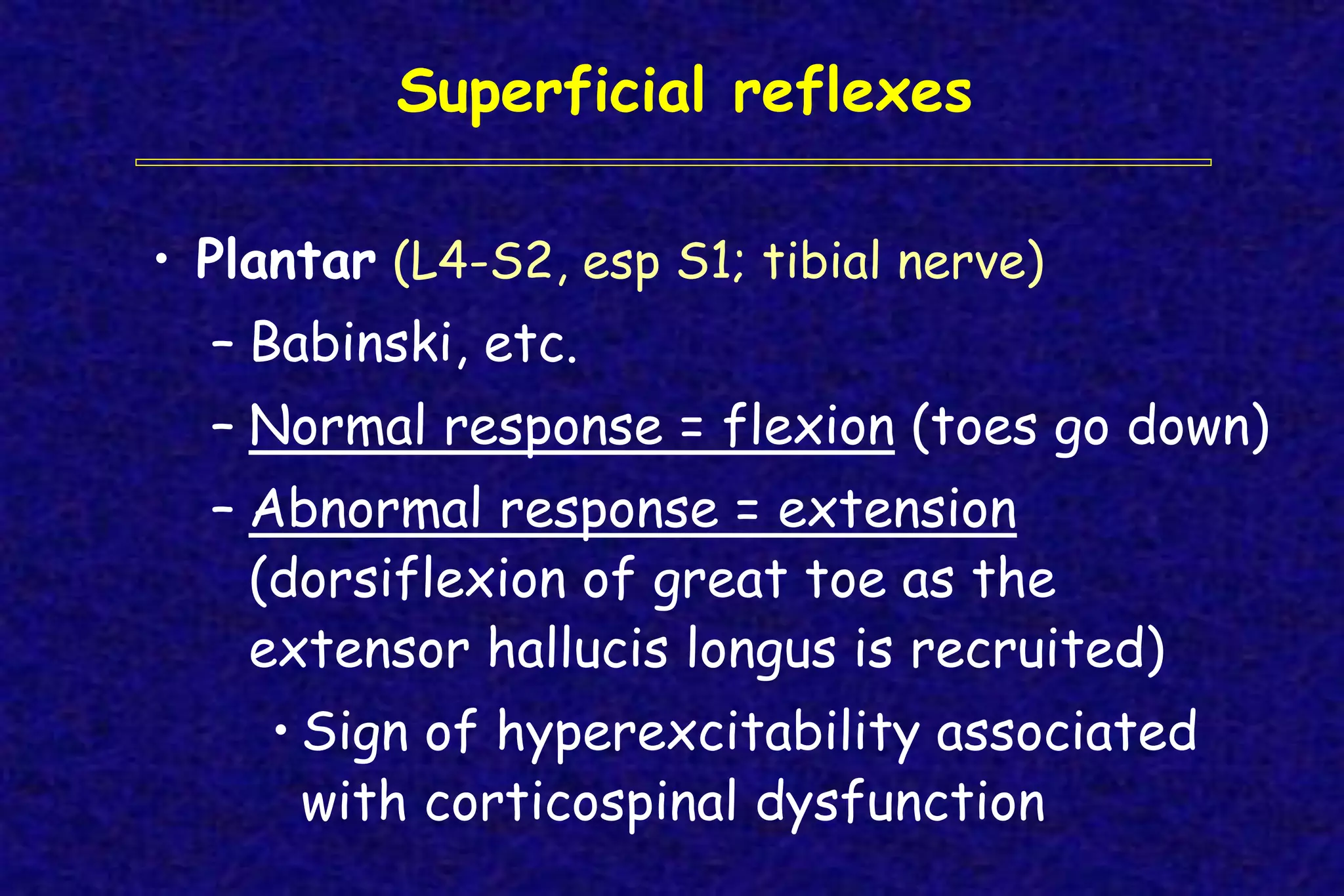 Superficial reflexes
• Plantar (L4-S2, esp S1; tibial nerve)
– Babinski, etc.
– Normal response = flexion (toes go down)
– Abnormal response = extension
(dorsiflexion of great toe as the
extensor hallucis longus is recruited)
• Sign of hyperexcitability associated
with corticospinal dysfunction
 